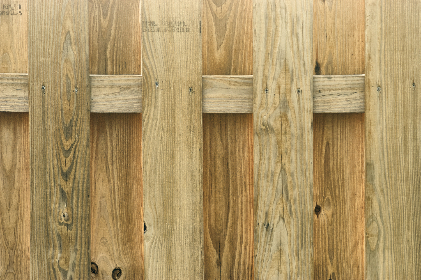 男人如何骗女人上床